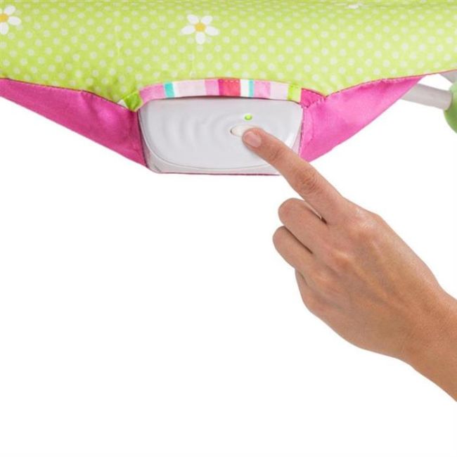 Bright Starts - Balansoar cu vibratii 2 in 1 Raspberry Garden BBB10125