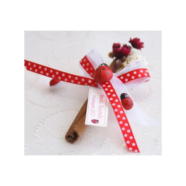 Marturie pentru botez scortisoara cu buburuze BM01FA