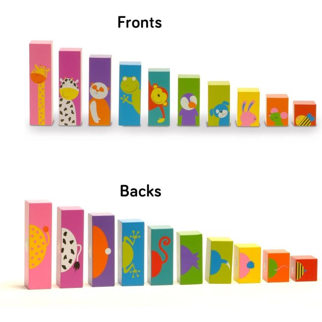 Set Sorteaza si Scutura - Sort N Shake Fiesta Crafts FCT-2397 BBJFCT-2397_Initiala