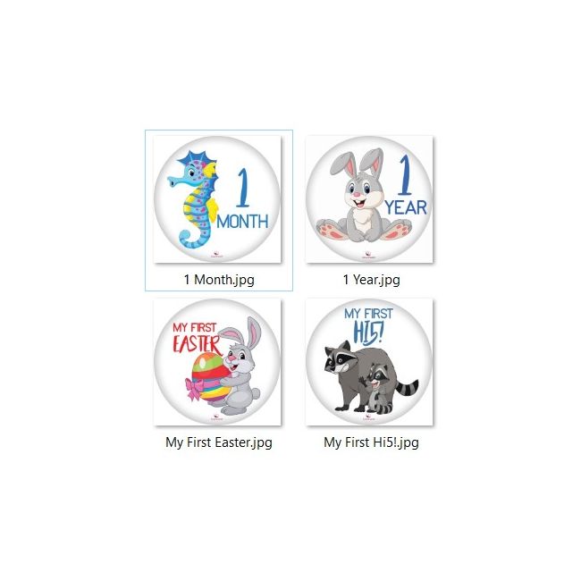 Paturica Foto Bebelusi - Baby Milestone Blanket design Long Neck Zebra cu 20 Stickere My First