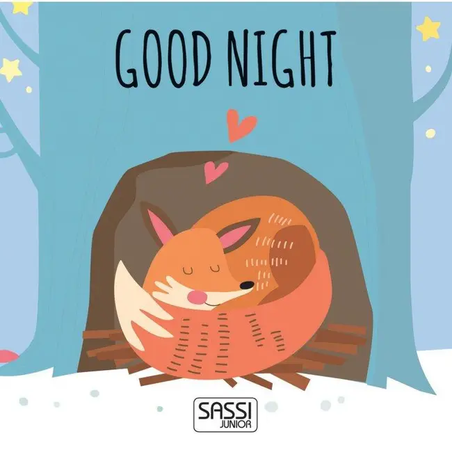 Joc de sortare - noapte buna