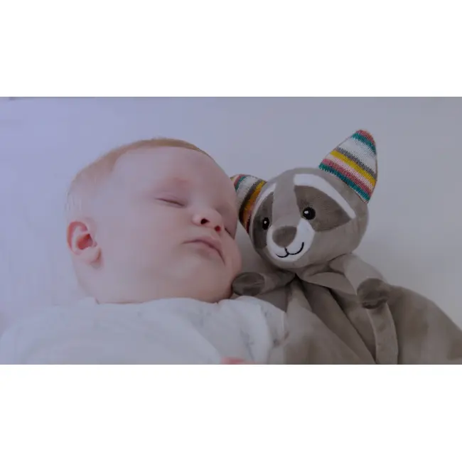 Mini-paturica muzicala raccon-ul robin tnaza-robin-01