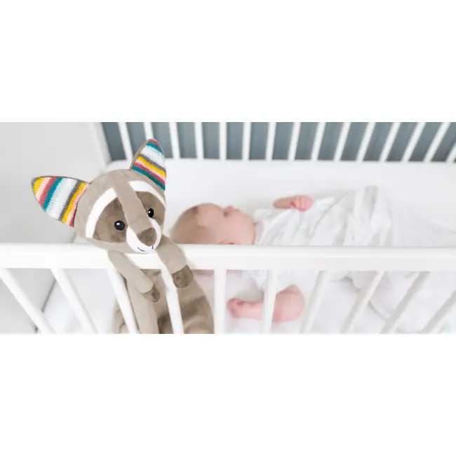 Mini-paturica muzicala raccon-ul robin tnaza-robin-01