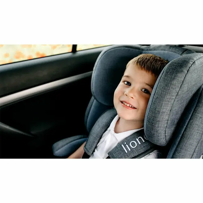 Lionelo - Scaun auto Nico Spatar detasabil, Protectie laterala, 9-36 Kg, Albastru BYNLO-NICO_BLUE