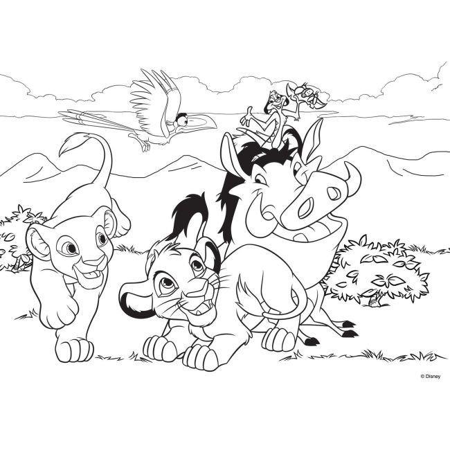 Puzzle de colorat maxi - Regele leu (24 piese) EDULS74105