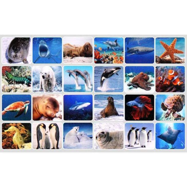 Lanterna proiector cu 3 diapozitive Animale Marine Bambinice BN019 BBJBN019_Initiala
