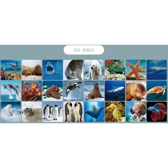 Proiector cu suport, 3 diapozitive Animale Marine Bambinice BN027 BBJBN027_Initiala