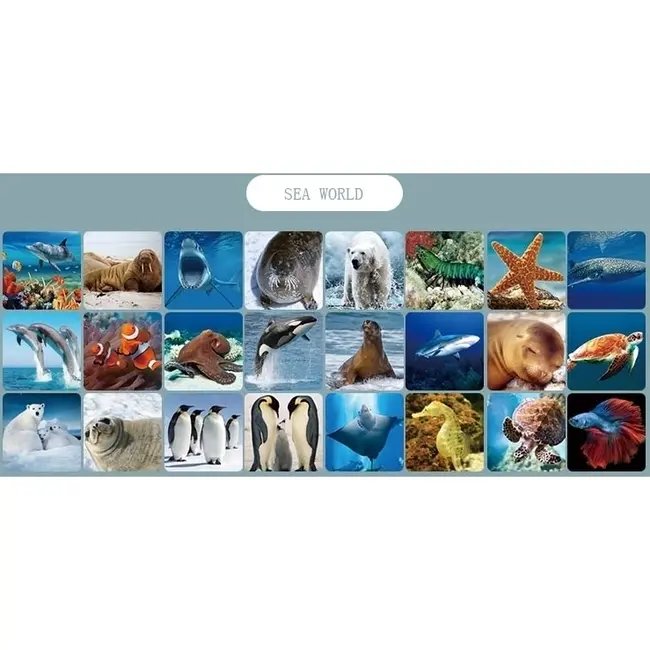 Proiector cu suport, 3 diapozitive Animale Marine Bambinice BN027 BBJBN027_Initiala