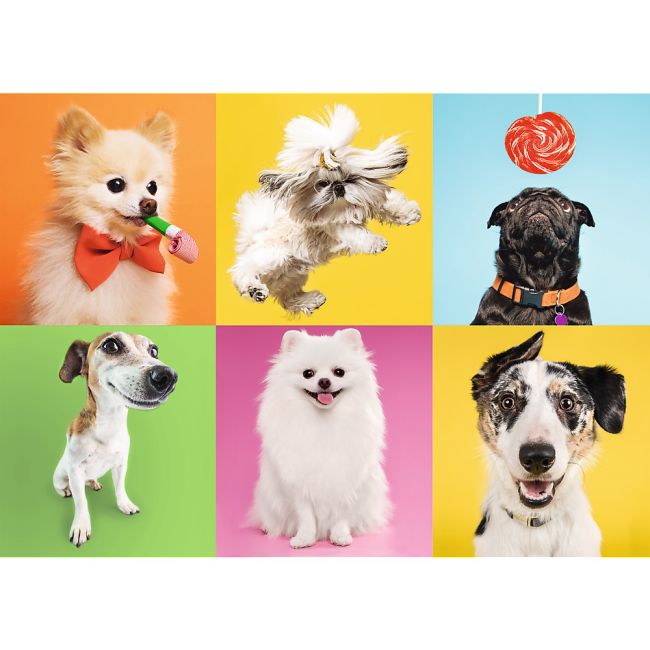 PUZZLE TREFL 500 CATELUSI VIV37378