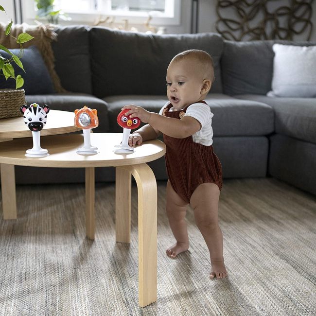 Baby Einstein - Set 3 jucarii multisenzoriale in forma de animalute BBB12359