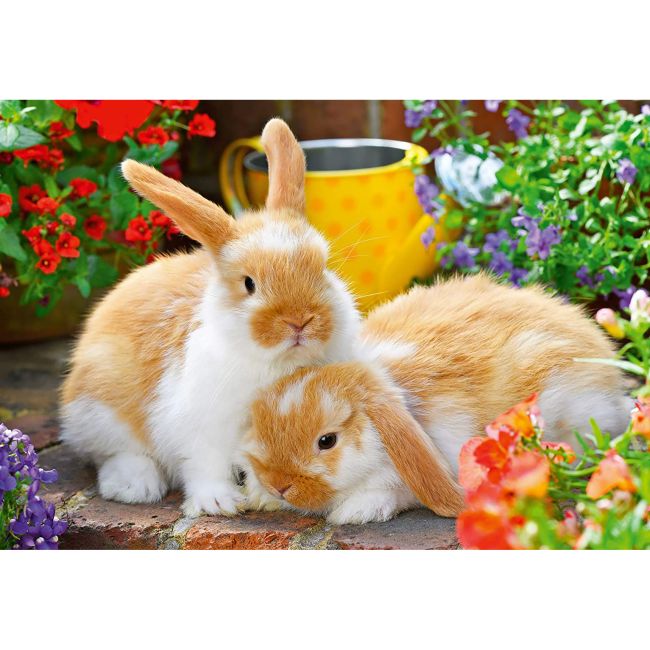 PUZZLE PORCUSOR DE GUINEA SI IEPURAS, 2x12 PIESE - ARTRVSPC05144