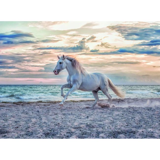 PUZZLE CAL PE PLAJA, 500 PIESE - ARTRVSPA16586