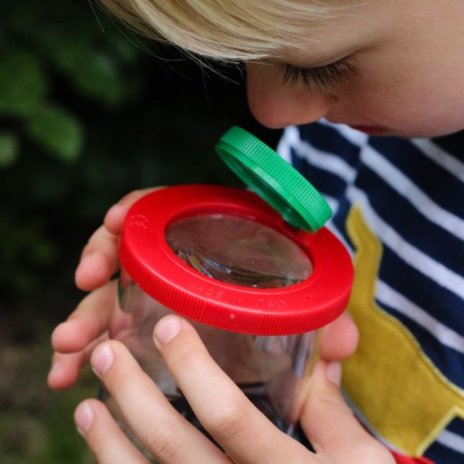 Cutie cu lupa pt insecte Expedition Natur Moses MS08020 BBJMS08020_Initiala