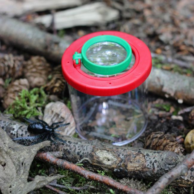Cutie cu lupa pt insecte Expedition Natur Moses MS08020 BBJMS08020_Initiala