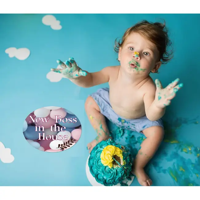 Set 26 Stickere pentru fotografii aniversare My First Baby Milestone Stickers 20 cm - pentru fotografii copii / bebelusi