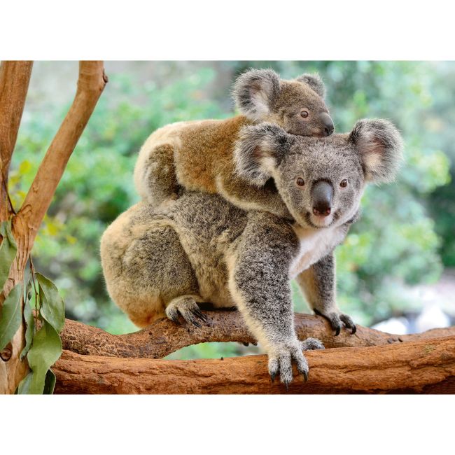 PUZZLE KOALA, 200 PIESE - ARTRVSPC12945