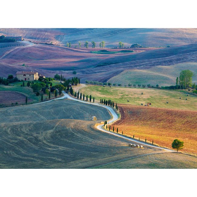 PUZZLE PIENZA, 1000 PIESE - ARTRVSPA16779