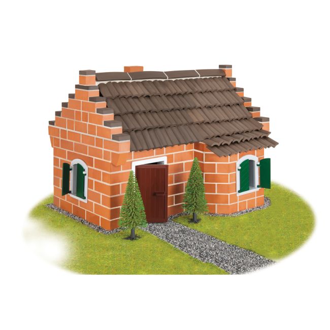 Casa istorica - TEI4900