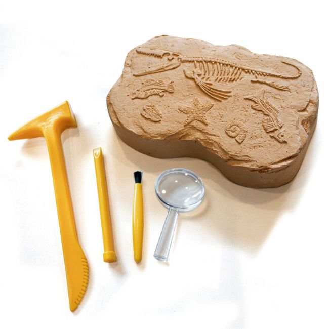 Geosafari - kit excavare fosile