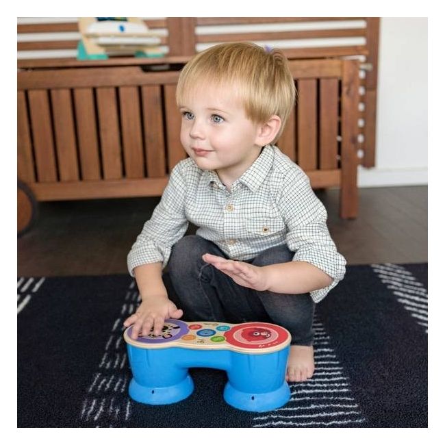 Baby Einstein - Jucarie muzicala Tobe Hape Magic Touch BBB12610
