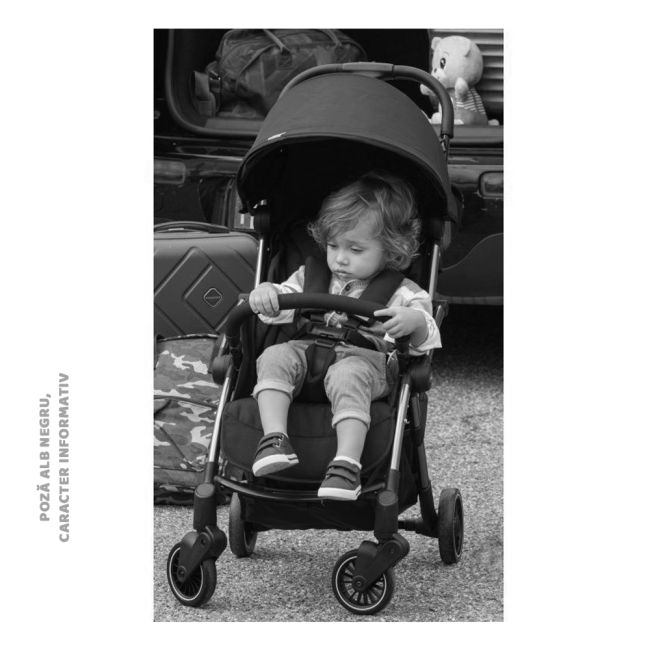 Carucior sport copii Chicco Cheerio, Hydra, 0luni+ CHC79735-8_HYDRA