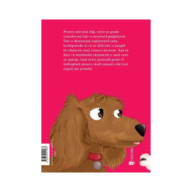 Jup, un pisoi de soi – volumul vi – cele trei reguli ale greselii