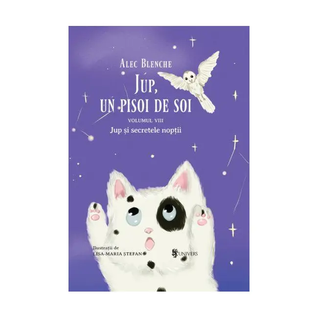 Jup, un pisoi de soi &ndash; volumul viii &ndash; jup si secretele noptii