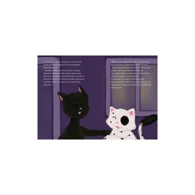 Jup, un pisoi de soi &ndash; volumul viii &ndash; jup si secretele noptii