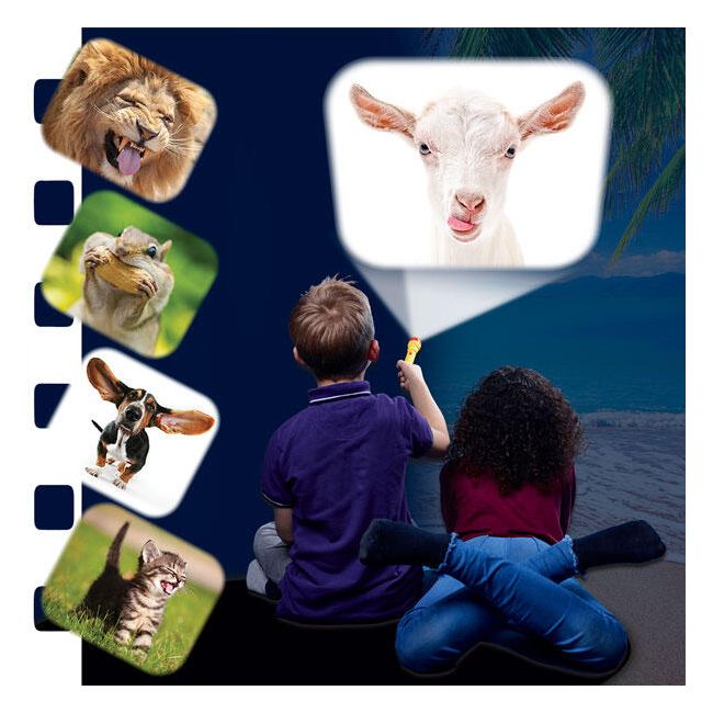 Proiector tip lanterna - animalute haioase