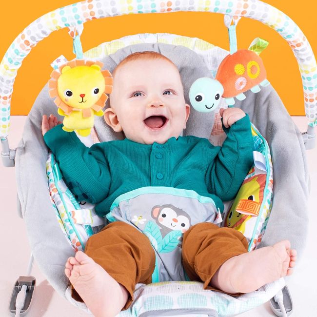 Bright Starts - Leagan si balansoar Whimsical Wild BBB11805