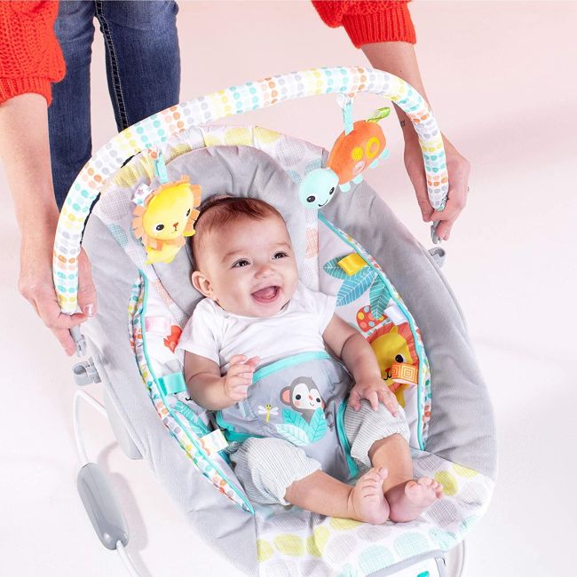 Bright Starts - Leagan si balansoar Whimsical Wild BBB11805