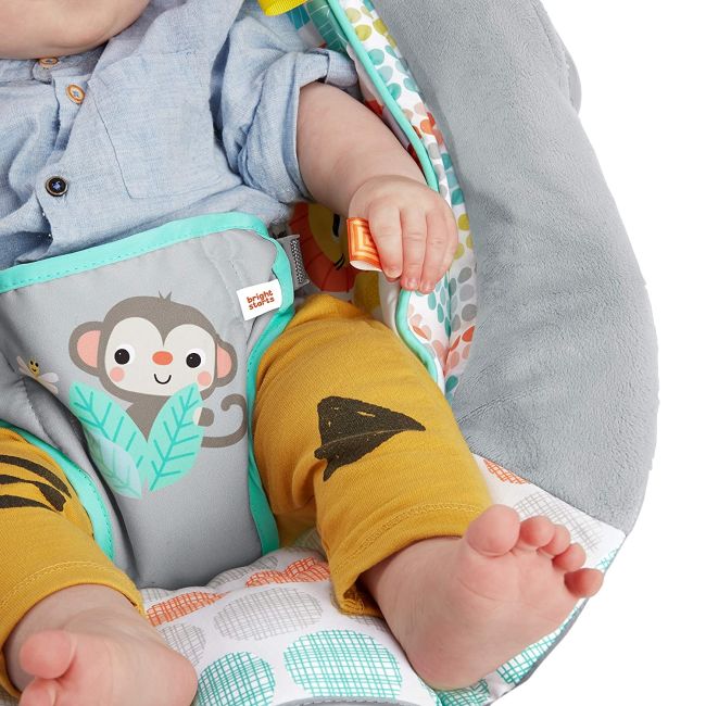 Bright Starts - Leagan si balansoar Whimsical Wild BBB11805