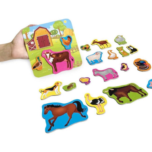 Set magnetic Animale de la Ferma cu Plansa magnetica inclusa, 21 piese Roter Kafer RK2090-01 BBJRK2090-01_Initiala