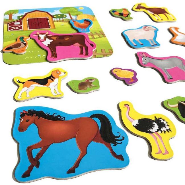 Set magnetic Animale de la Ferma cu Plansa magnetica inclusa, 21 piese Roter Kafer RK2090-01 BBJRK2090-01_Initiala