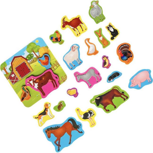 Set magnetic Animale de la Ferma cu Plansa magnetica inclusa, 21 piese Roter Kafer RK2090-01 BBJRK2090-01_Initiala