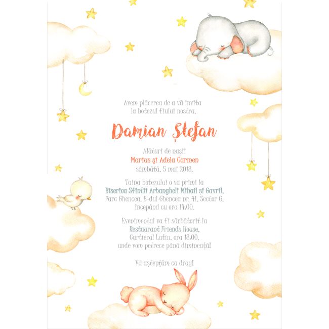 Invitatie de botez Vise colorate - SHYFL020