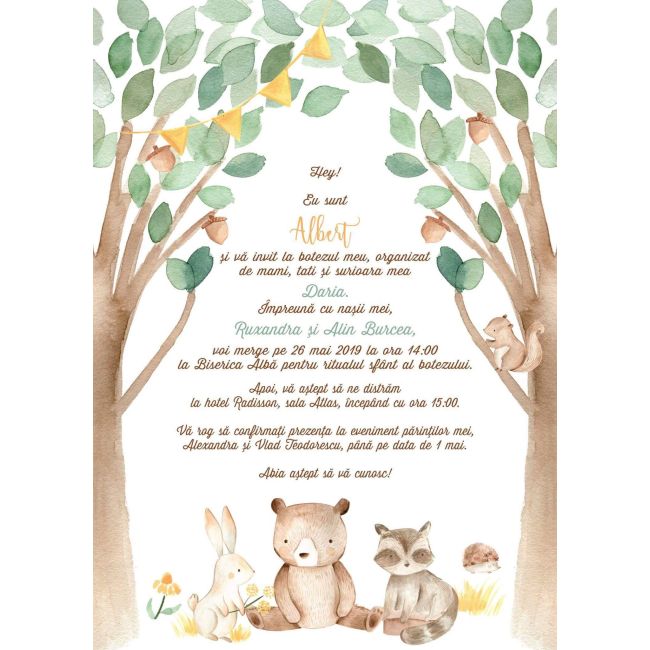Invitatie de botez Padurea fermecata - SHYFL025