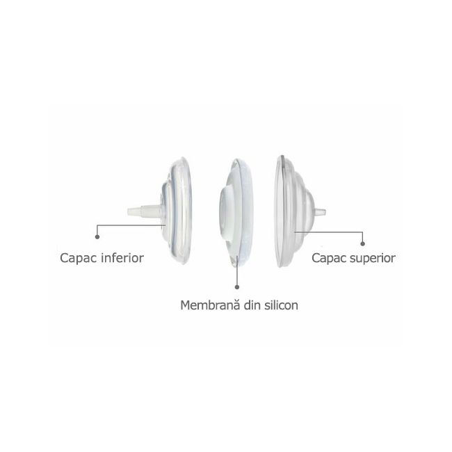 Accesorii pompa - filtru protectie flux invers