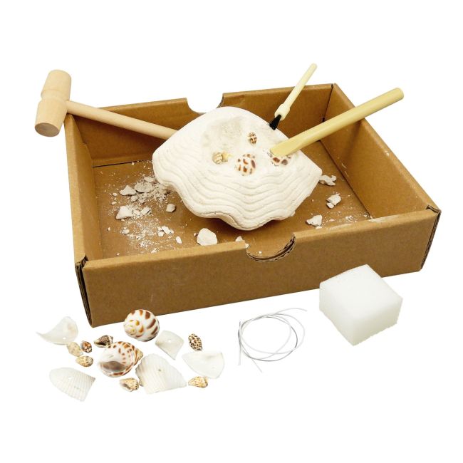 Kit de sapat - scoici bk441
