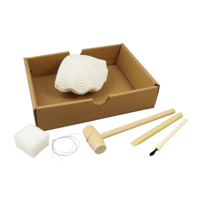 Kit de sapat - scoici bk441