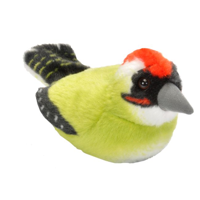 Pasare cu sunet ciocanitoare verde - green woodpecker wr19499