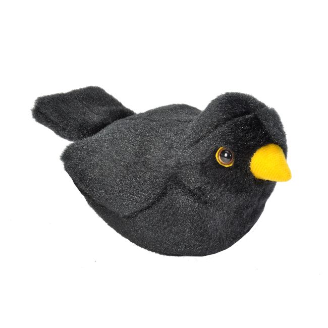 Pasare cu sunet mierla - european blackbird wr19489