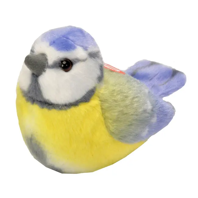 Pasare cu sunet pitigoi albastru - blue tit wr19483
