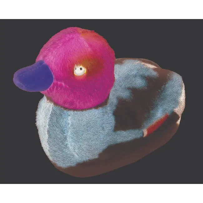 Pasare cu sunet rata salbatica - mallard duck wr19596