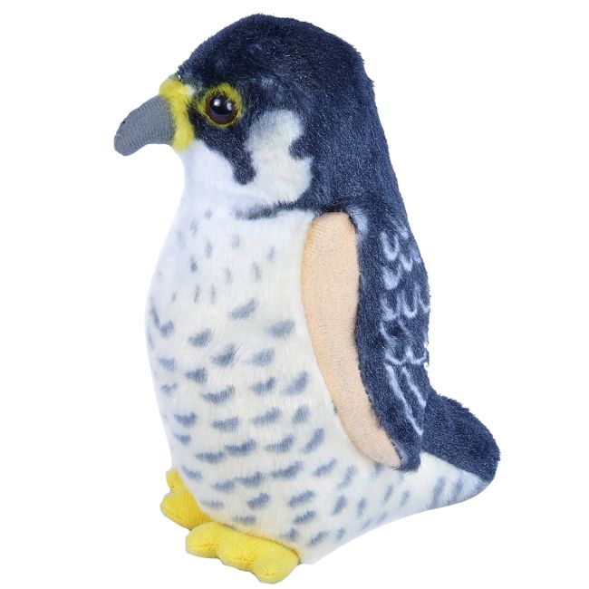 Pasare cu sunet soim calator - peregrine falcon wr19598