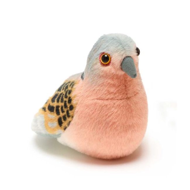 Pasare cu sunet turturea - turtle dove wr23713