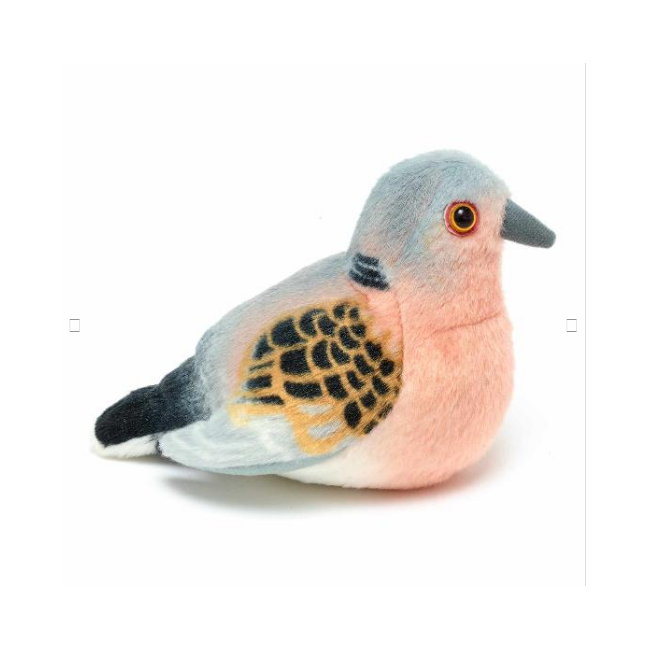 Pasare cu sunet turturea - turtle dove wr23713