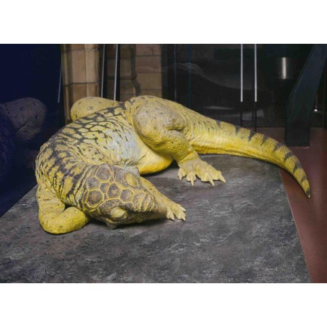 Proiector tip lanterna - dinozauri