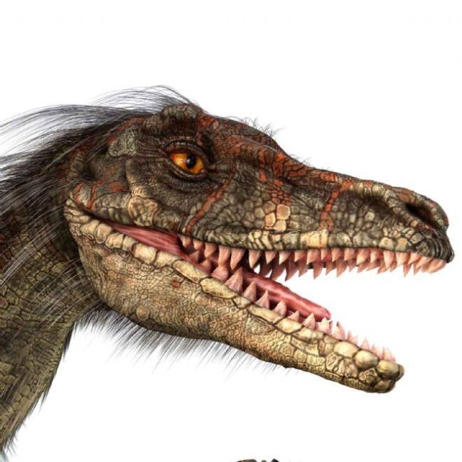 Proiector tip lanterna - dinozauri
