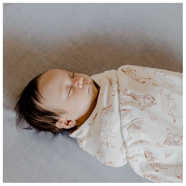 Sistem de infasare ergobaby safari tnaswasaf